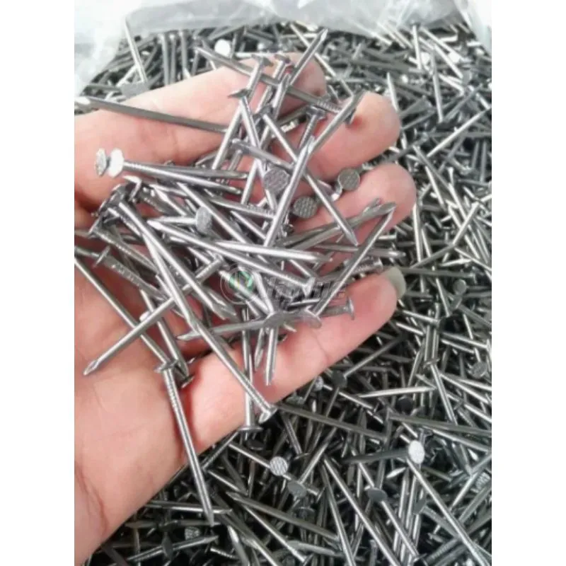 일반적인 손톱